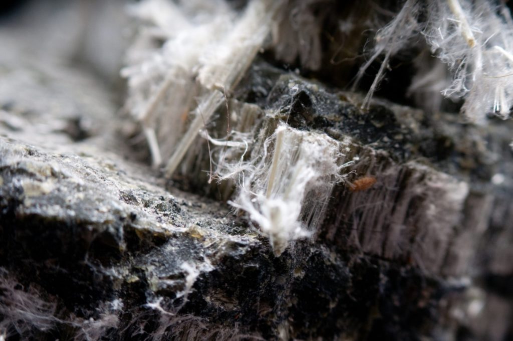 Fibres d’amiante chrysotile observées au microscope